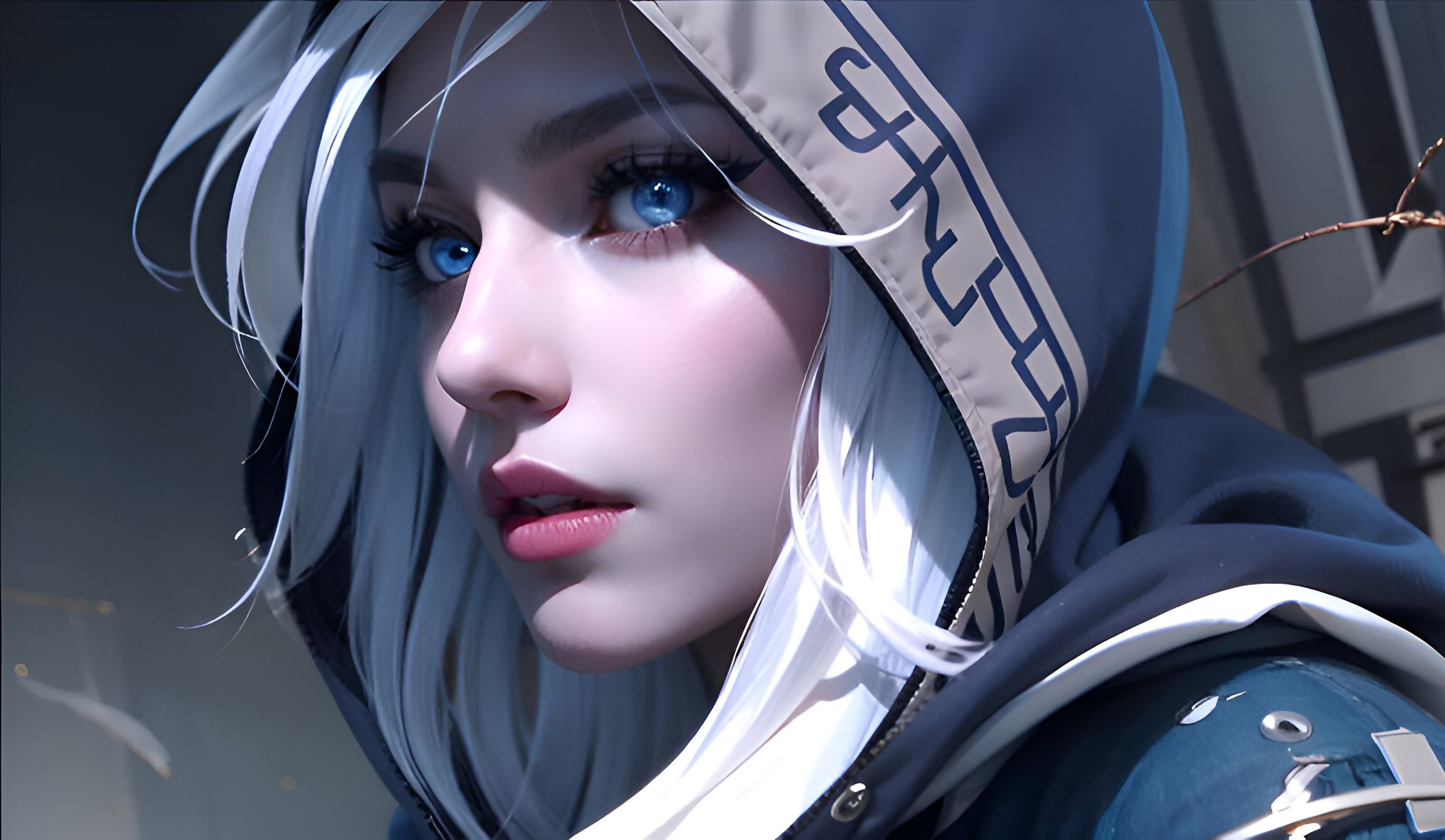 队和球员们 队和球员们