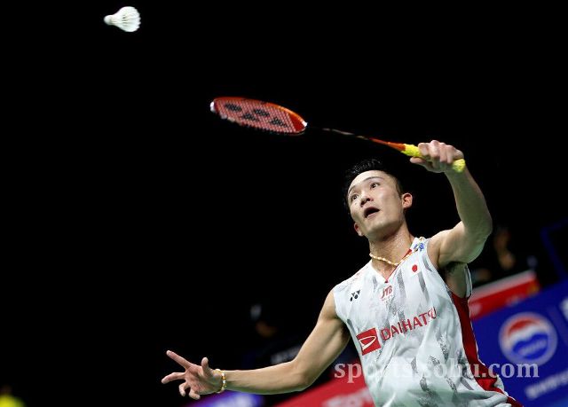 观众的目光 观众的目光