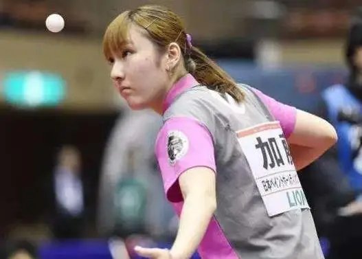 提供了有力 提供了有力